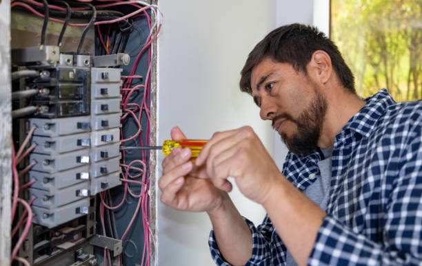 Best Residential Electrician Services  in Haines, AK